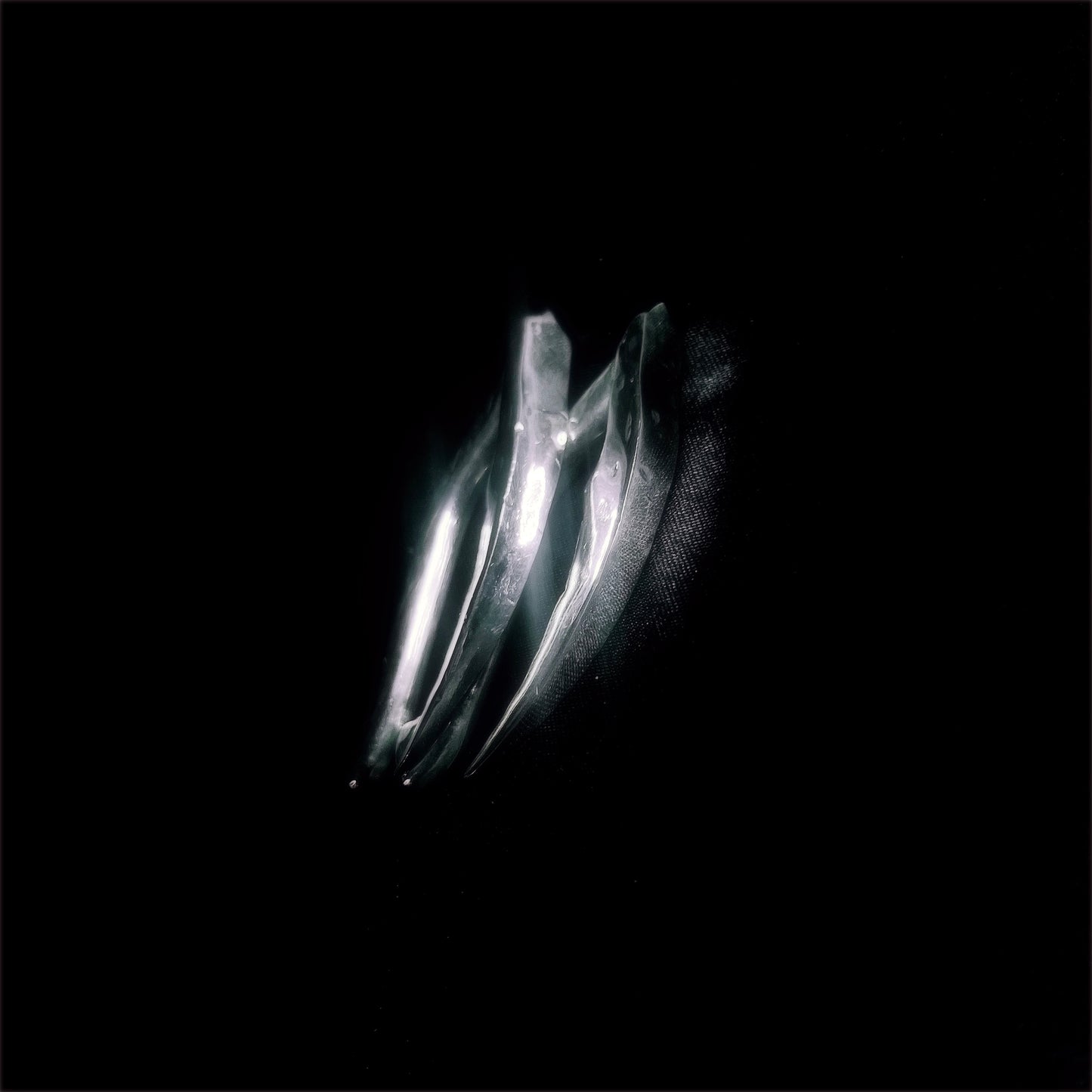 πππ©π’ ππ’ππ±π₯ π’ππ―π΄π’π¦π€π₯π±π°