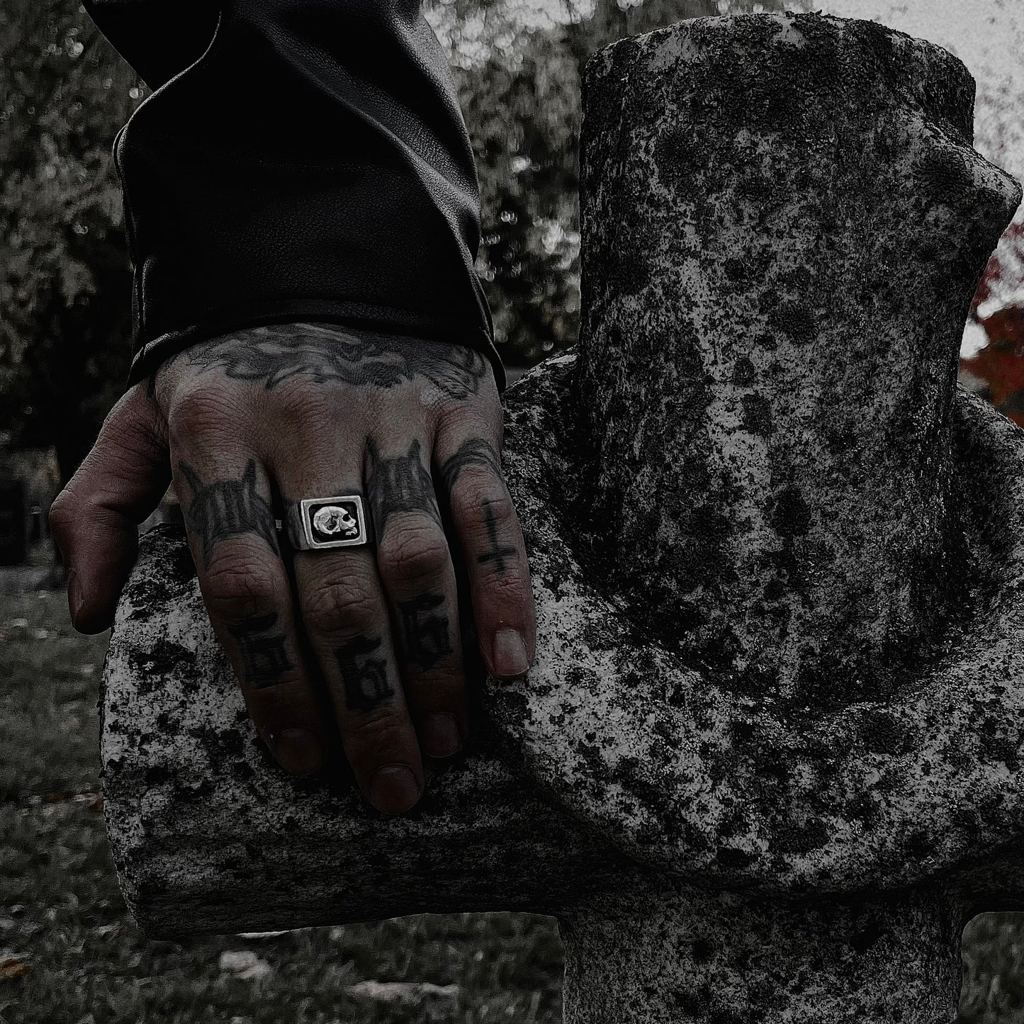 šš©š¤š¬šÆ šš¬šÆš±š¦š°